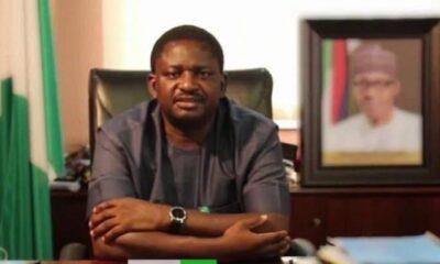Femi Adesina