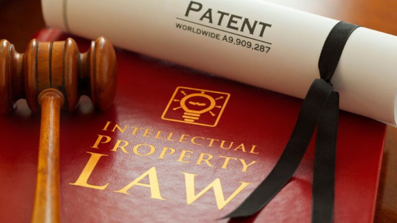 Intellectual Property Assets