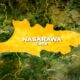Nasarawa-State-map