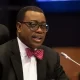 President-of-the-African-Development-Bank-Akinwumi-Adesina-960x488