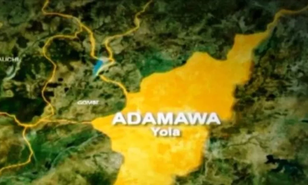 Adamawa Tragedy: A Call for Resolution and Reform -By Zayd Ibn Isah – Opinion Nigeria