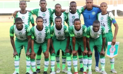 Golden-Eaglets