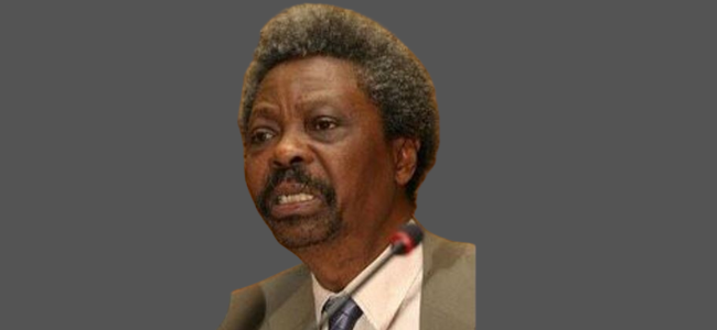 Professor Femi Soyinka