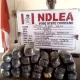 NDLEA