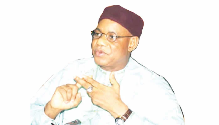 NNPP Chairman in Osun