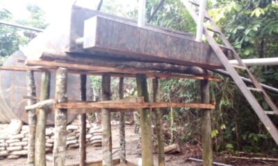 Militant hide out in Bayelsa