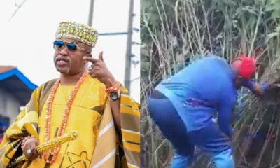 Oluwo; monarch spotted clearing bushes