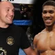Tyson-Fury-and-Anthony-Joshua