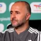 Algeria head coach, Djamel Belmadi