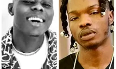Azeez Adeshina Fashola - Naira Marley