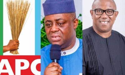 APC, Femi Fani-Kayode and Peter Obi