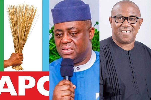 APC, Femi Fani-Kayode and Peter Obi
