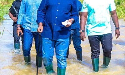 Governor Diri of Bayelsa state