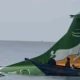A passenger plane crashed into Lake Victoria on Sunday in Tanzania