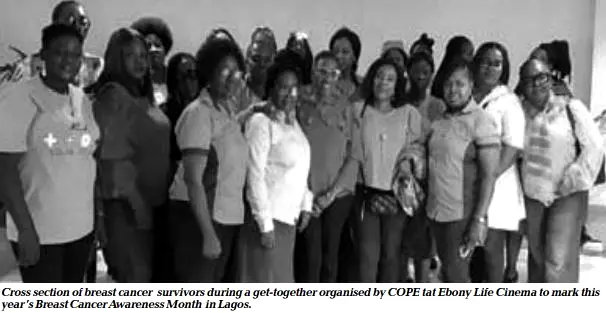 Cross section of breast cancer survivors