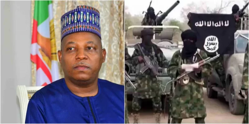 Governor-Shettima-weeps-over-Boko-Haram-resurgence-in-Borno-lucipost