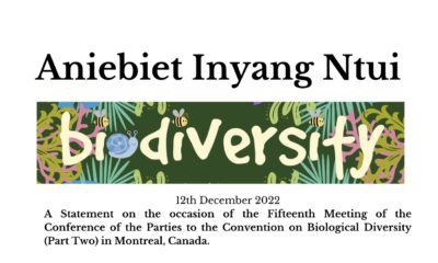 Aniebiet Inyang Ntui