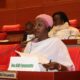 Hon. Fatoumatta Touma Njie