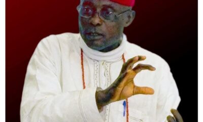 Nwankwo T. Nwaezeigwe