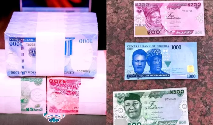 New Naira Notes