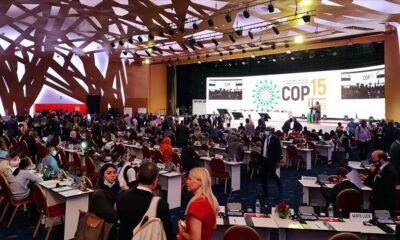 COP15