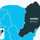 Borno map
