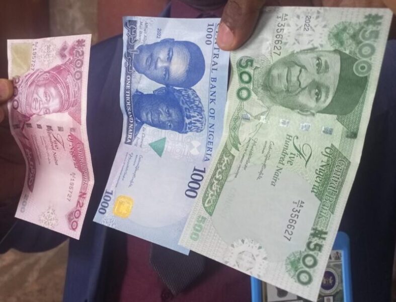 New Naira Notes