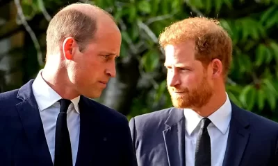 Prince William and Prince Harry