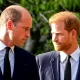 Prince William and Prince Harry