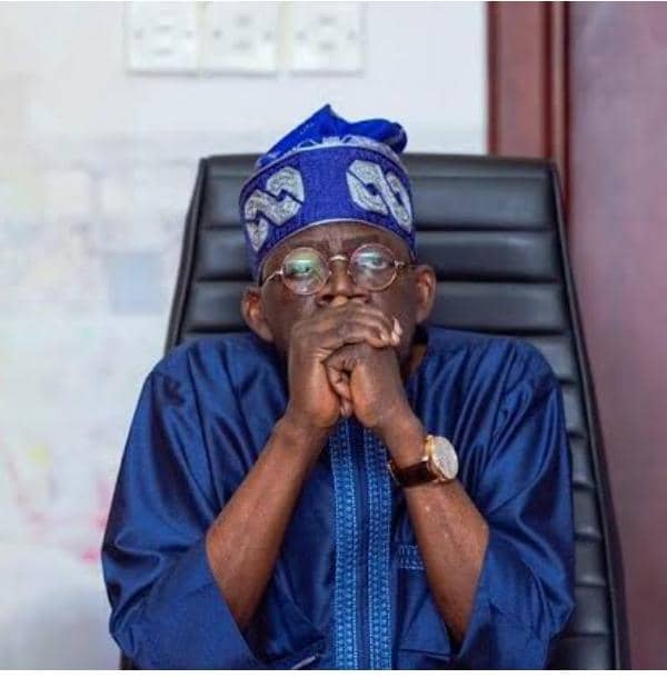Bola Tinubu to decide subsidy removal date after inauguration