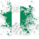 Nigeria flag