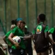 Super Falcons