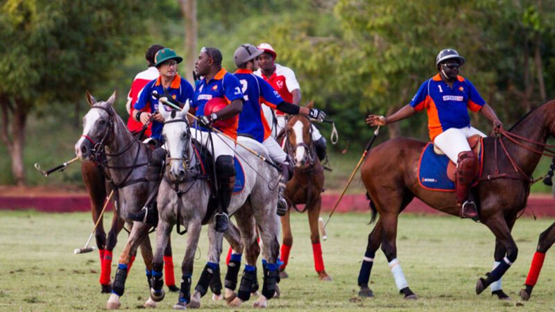 Polo