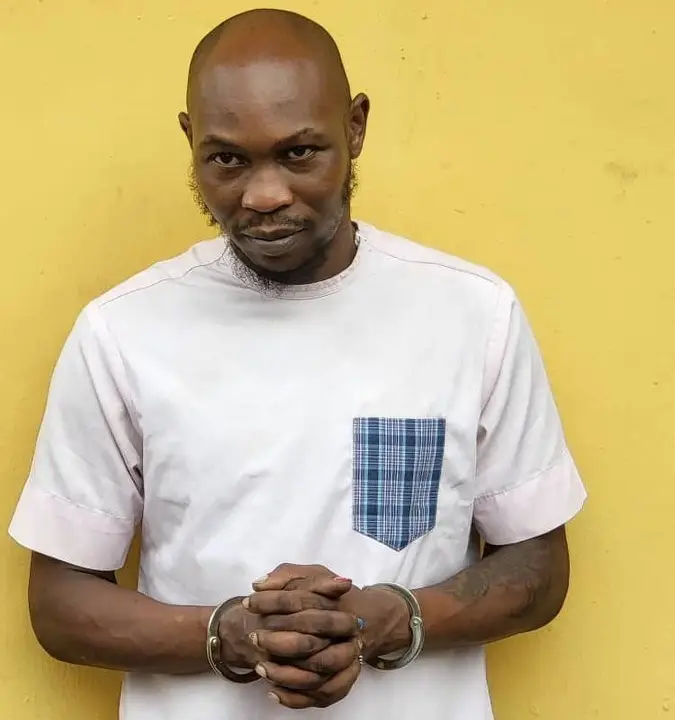 Seun Kuti