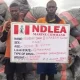 Ghanaian caught with drugs by NDLEA