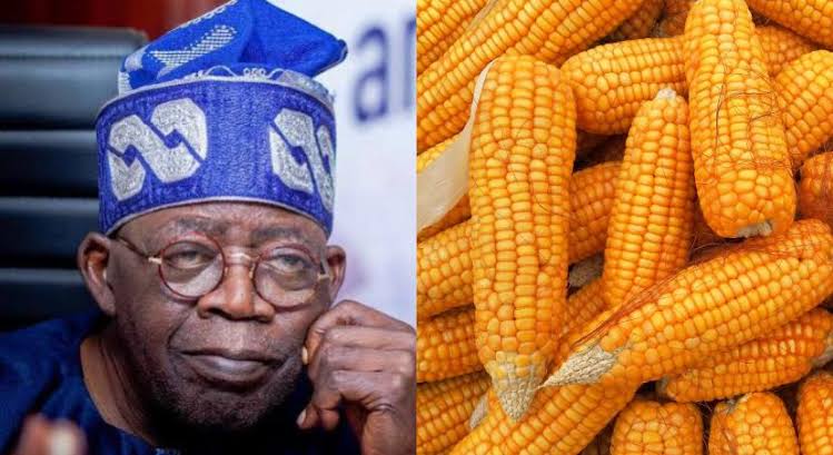 Tinubu and corn