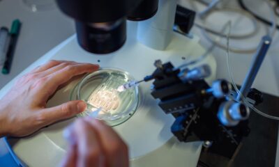 Genome Editing In Nigeria