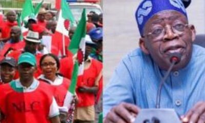 NLC and Tinubu