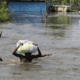 Flood in Nigeria