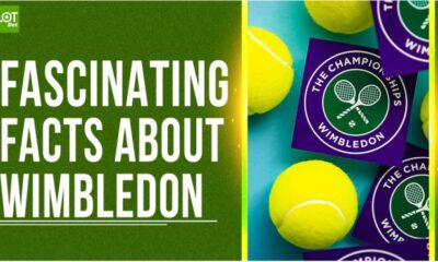 Wimbledon - iLOT