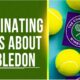 Wimbledon - iLOT
