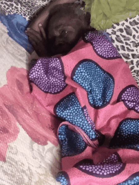 Witch and witchcraft