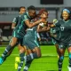Super Falcons