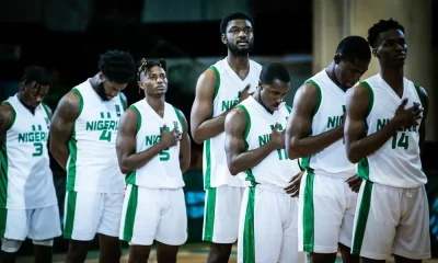 D'Tigers