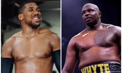Anthony Joshua and Whyte