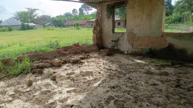 Primary school taribor