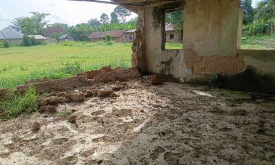 Primary school taribor