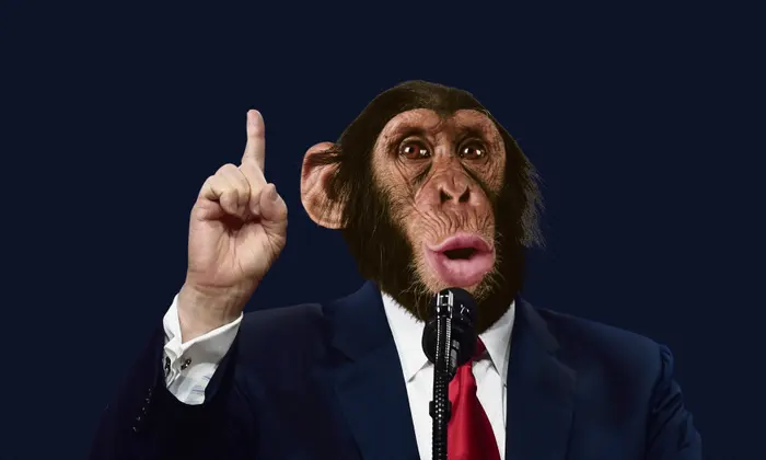 MONKEY