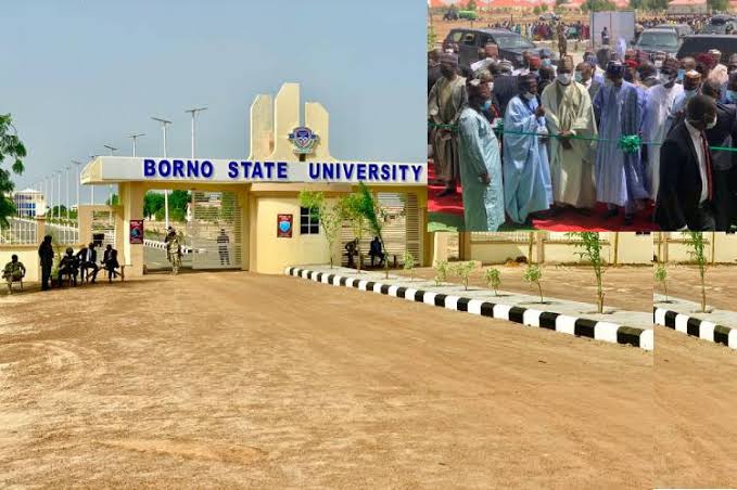 Borno State University