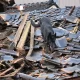 Dog and demolished building